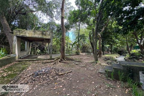 1850m2 Land in Canggu, Badung, Bali (9213) 15