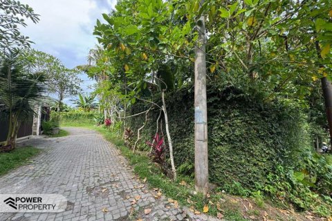 1850m2 Land in Canggu, Badung, Bali (9213) 12