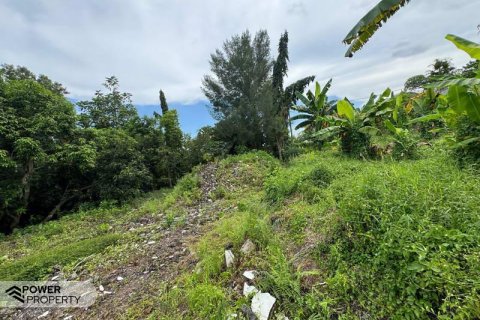 1850m2 Land in Canggu, Badung, Bali (9213) 10