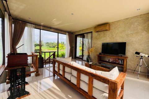 2 bedrooms Villa in Ubud, Gianyar, Bali (14372) 18