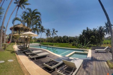 10 bedrooms Villa in Kediri, Tabanan, Bali (11969) 5