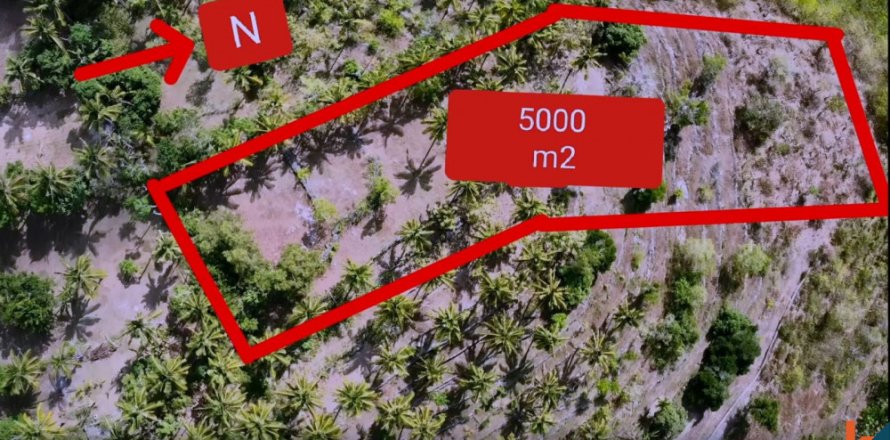 Land in Klungkung, Bali (11971)