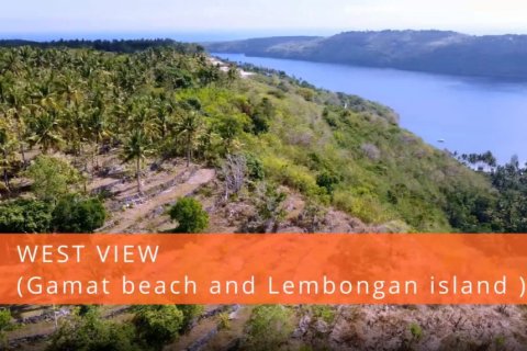 Land in Klungkung, Bali (11971) 2