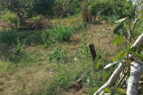 Tanah kavling 1950m2 di Kuta Selatan, Badung, Bali (15841) 4