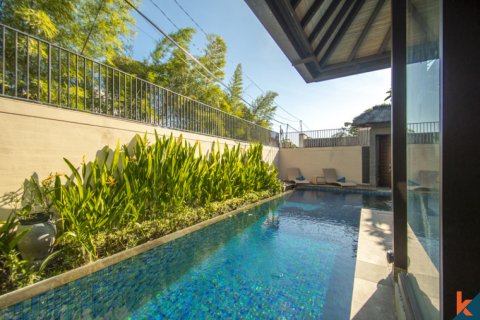 2 bedrooms Villa in Seminyak, Badung, Bali (11620) 8