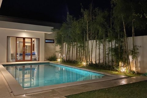 2 bedrooms Villa in Badung, Bali (12154) 5