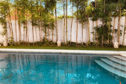 2 bedrooms Villa in Badung, Bali (12154) 12