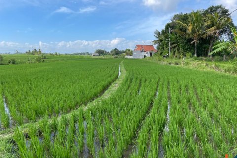 Tanah kavling di Tabanan, Bali (12152)