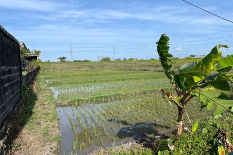 Land in Tabanan, Bali (12151) 4