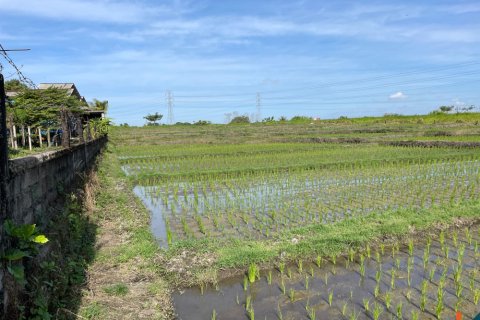 Tanah kavling di Tabanan, Bali (12151)