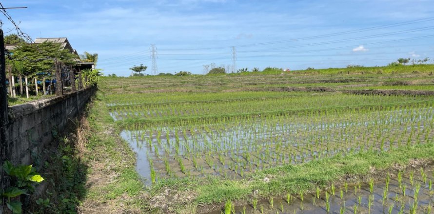 Land in Tabanan, Bali (12151)