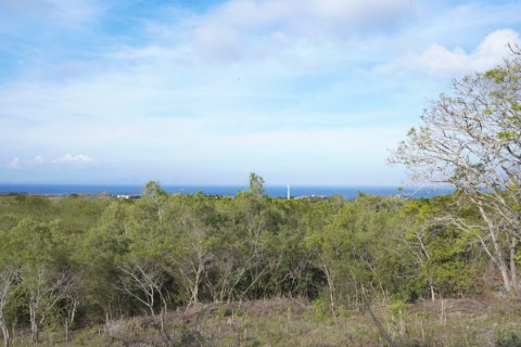 Land in Nusa Dua, Badung, Bali (12155) 2