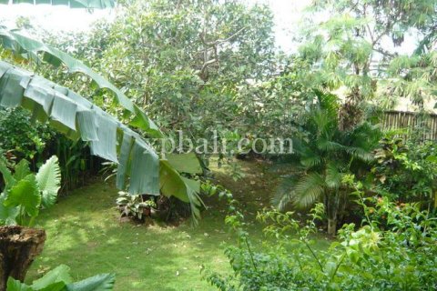 2 bedrooms Villa in Canggu, Badung, Bali (1029) 4