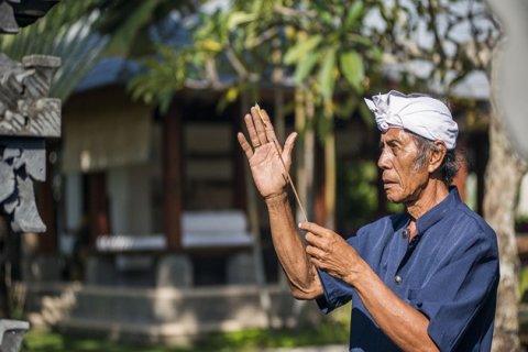 3 bedrooms Villa in Canggu, Badung, Bali (2039) 14