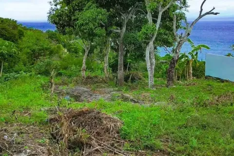 Land in Klungkung, Bali (11525) 3