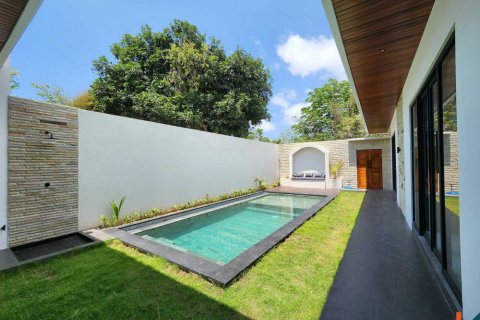 2 bedrooms Villa in Ungasan, Badung, Bali (11527) 3