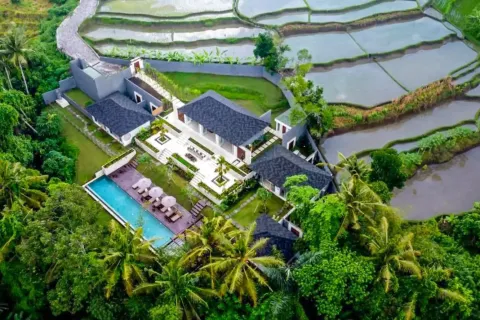 5 bedrooms Villa in Ubud, Gianyar, Bali (11268) 3