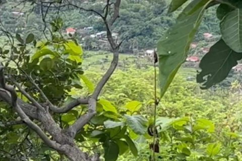 17600m2 Land in Lovina, Anturan, Buleleng, Bali (8506) 4