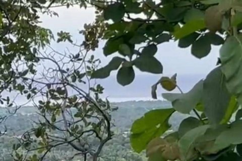 17600m2 Land in Lovina, Anturan, Buleleng, Bali (8506) 2