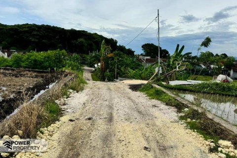 1185m2 Land in Tabanan, Bali (8505) 2