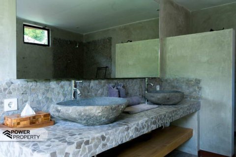 2 bedrooms Villa in Tampaksiring, Gianyar, Bali (9746) 13