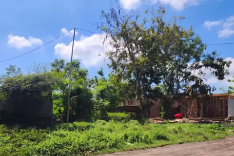 Земельный участок в Кута, Бадунг, Бали (10730) 2