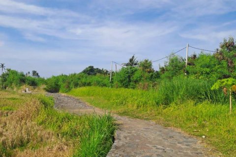 3 bedrooms Villa in Gianyar, Bali (8742) 3