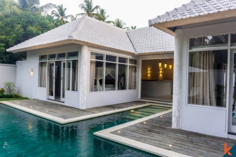 2 bedrooms Villa in Buleleng, Bali (12162) 6