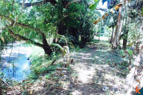 Land in Tabanan, Bali (12161) 6