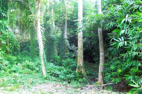 Land in Tabanan, Bali (12161) 4