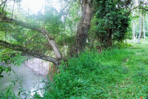 Land in Tabanan, Bali (12161) 5