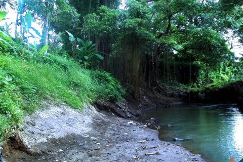 Land in Tabanan, Bali (12161) 7