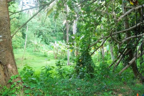 Land in Tabanan, Bali (12161) 2