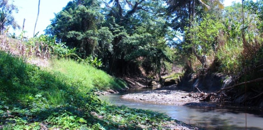 Land in Tabanan, Bali (12161)