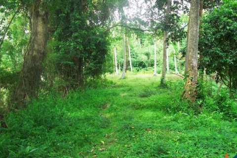 Land in Tabanan, Bali (12161) 3