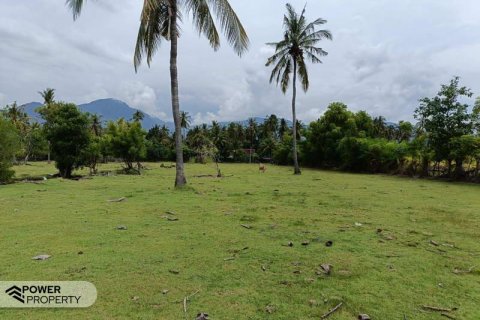 4800m2 Land in Lovina, Anturan, Buleleng, Bali (10682)