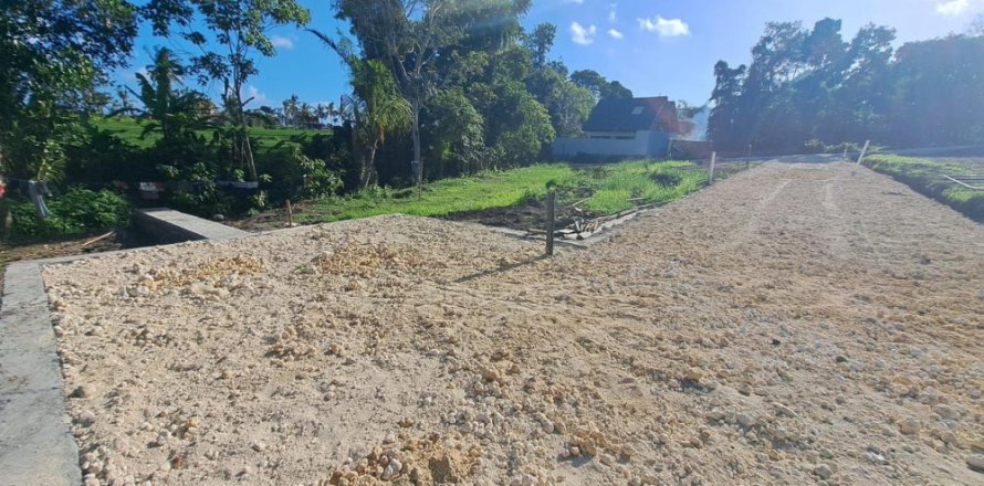 Land in Tabanan, Bali (12123)