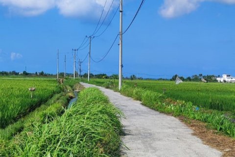 Land in Tabanan, Bali (12129) 3