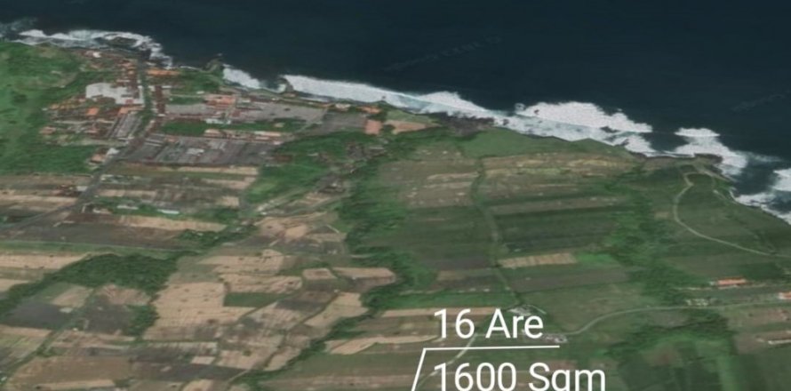 Land in Tabanan, Bali (12129)