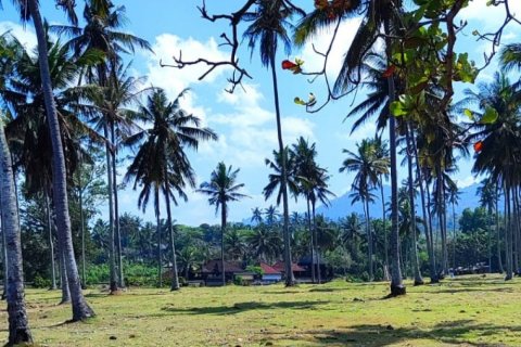 Land in Tabanan, Bali (12128) 7