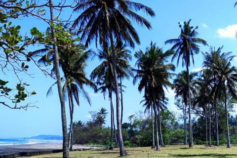 Land in Tabanan, Bali (12128) 5