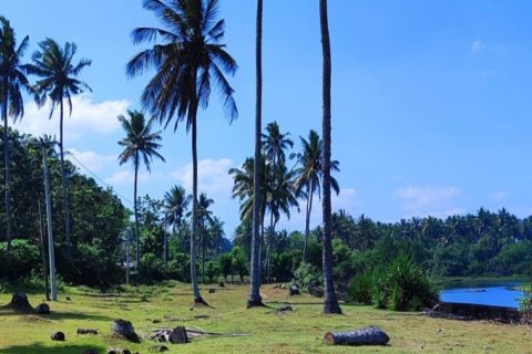 Land in Tabanan, Bali (12128) 6
