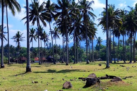Land in Tabanan, Bali (12128) 3