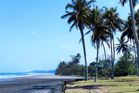 Land in Tabanan, Bali (12128) 4