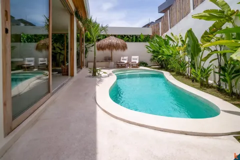 2 bedrooms Villa in Tumbak Bayuh, Mengwi, Badung, Bali (11478) 2
