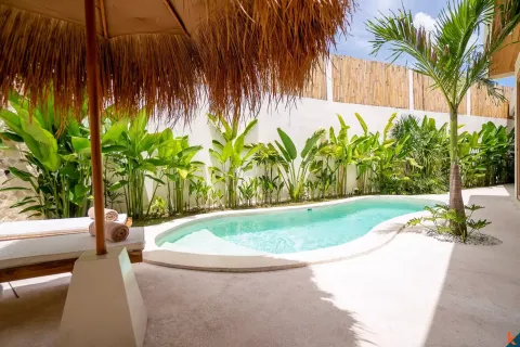 2 bedrooms Villa in Tumbak Bayuh, Mengwi, Badung, Bali (11478) 3