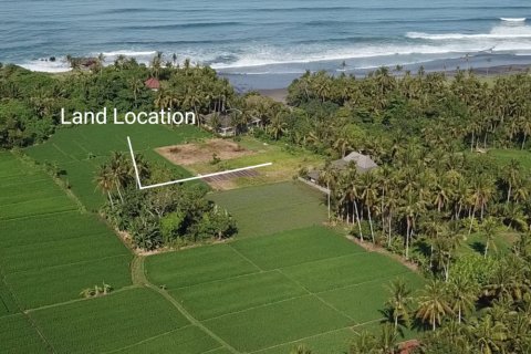 Land in Tabanan, Bali (12140) 2