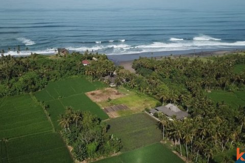 Land in Tabanan, Bali (12140) 5