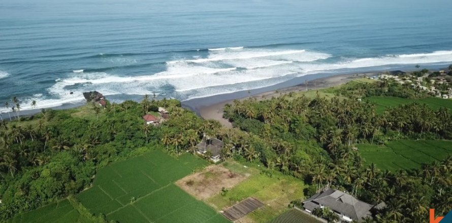 Land in Tabanan, Bali (12140)