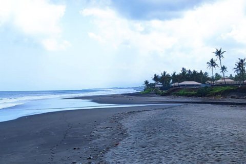 Land in Tabanan, Bali (12140) 8